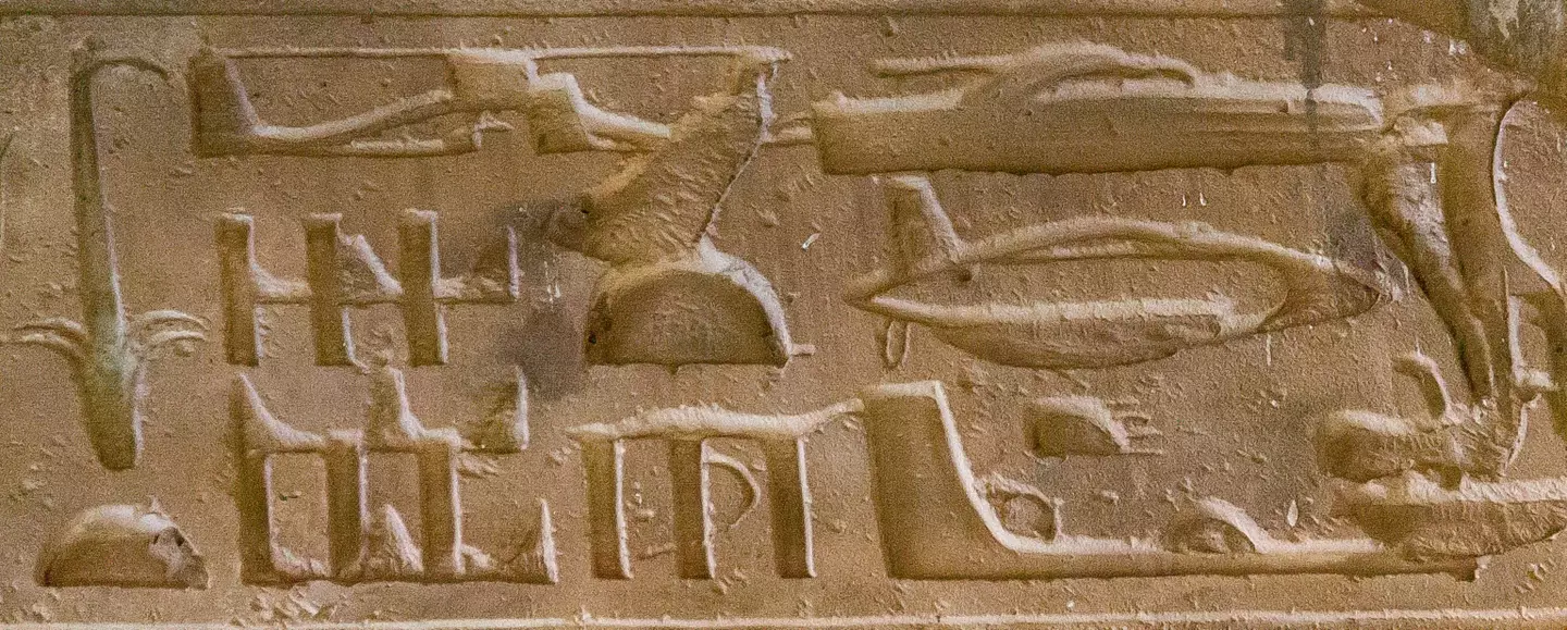 Some believe the presence of these plane-like structures could indicate that the Egyptians may have seen images of modern day aircraft.