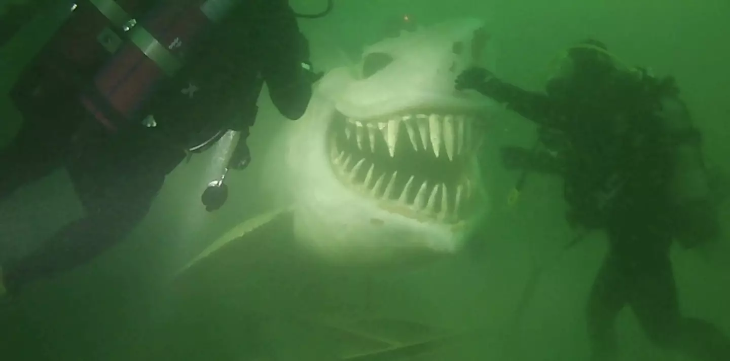 The horrifying shark statue has caught divers by surprise.