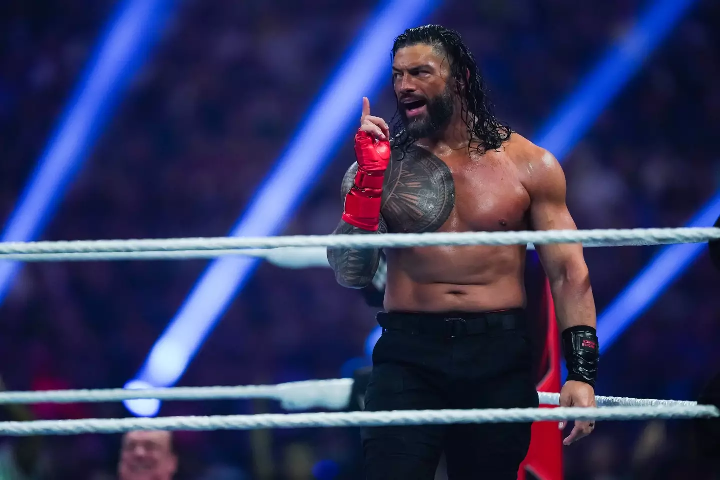 Roman Reigns is a favourite for the 2025 Royal Rumble on Netflix (Alex Bierens de Haan/Getty Images)