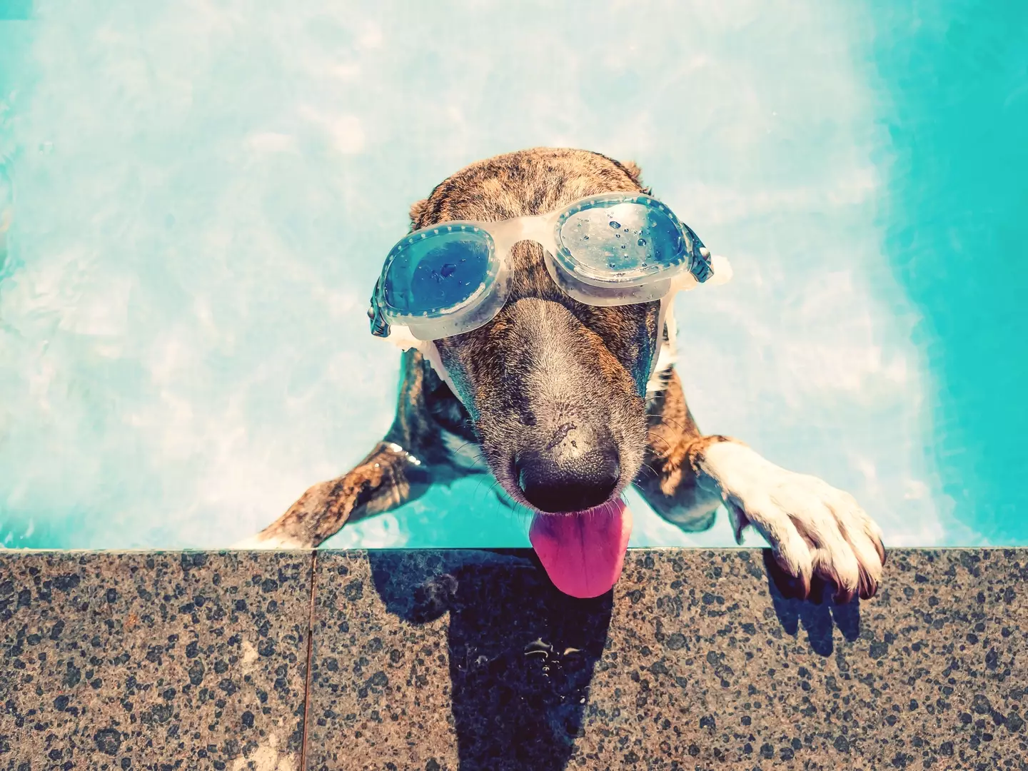 Fancy a dip? (Getty Stock Images)