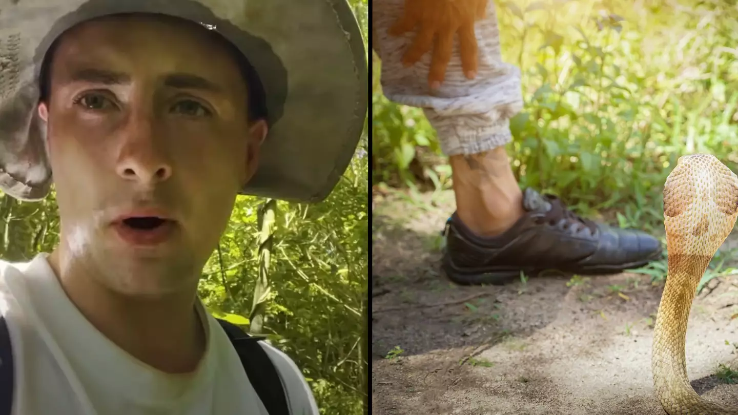 Man snuck onto Snake Island where no human is allowed to visit and is home to 4,000 of world’s deadliest snakes