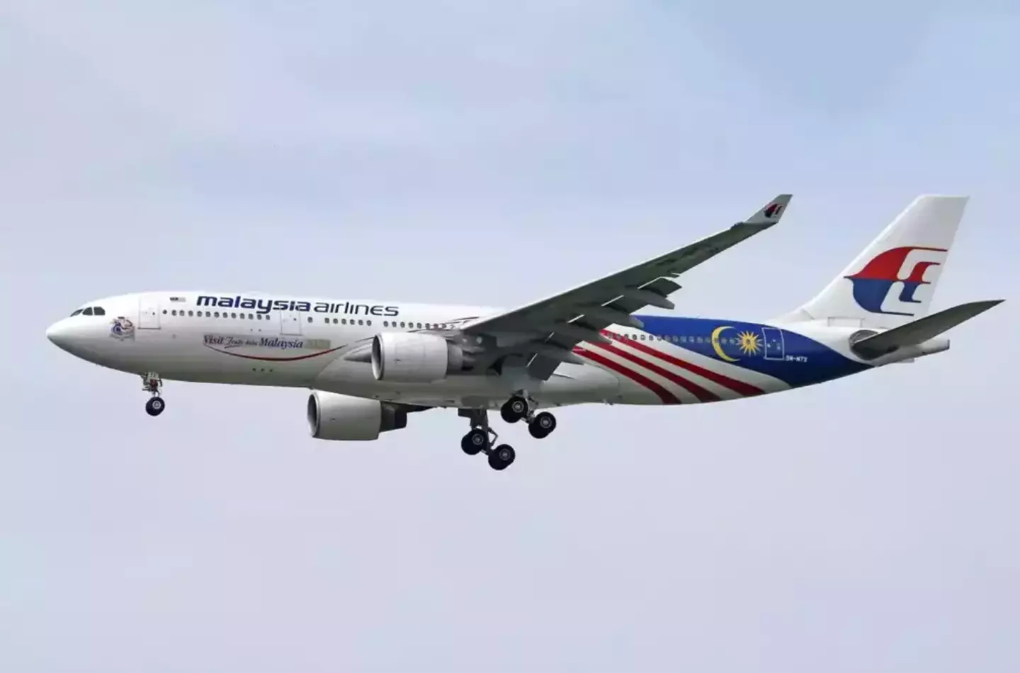A tech expert claimed he has 'found' the missing MH370 Malaysian Airlines on Google Maps.