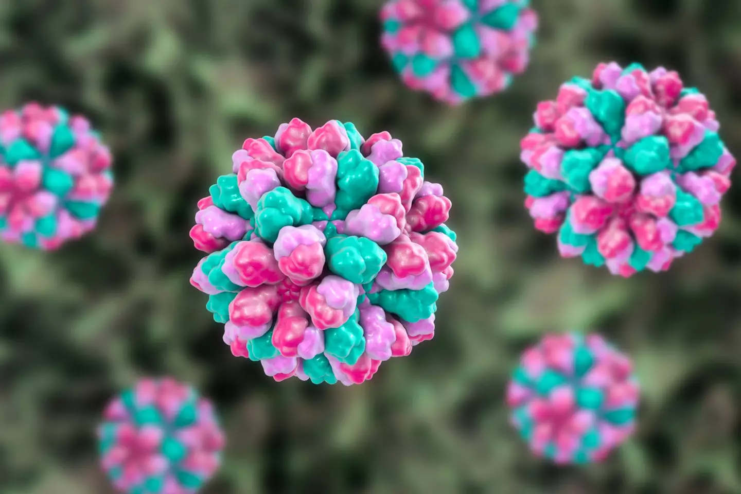 Norovirus can spread very easily (Getty Stock Images)