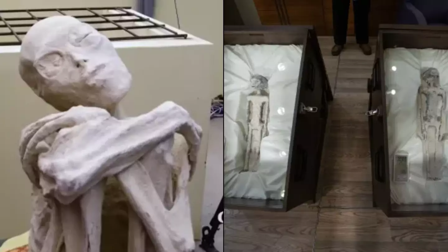 Big twist in 'non-human alien corpses' case as fingerprint results come back