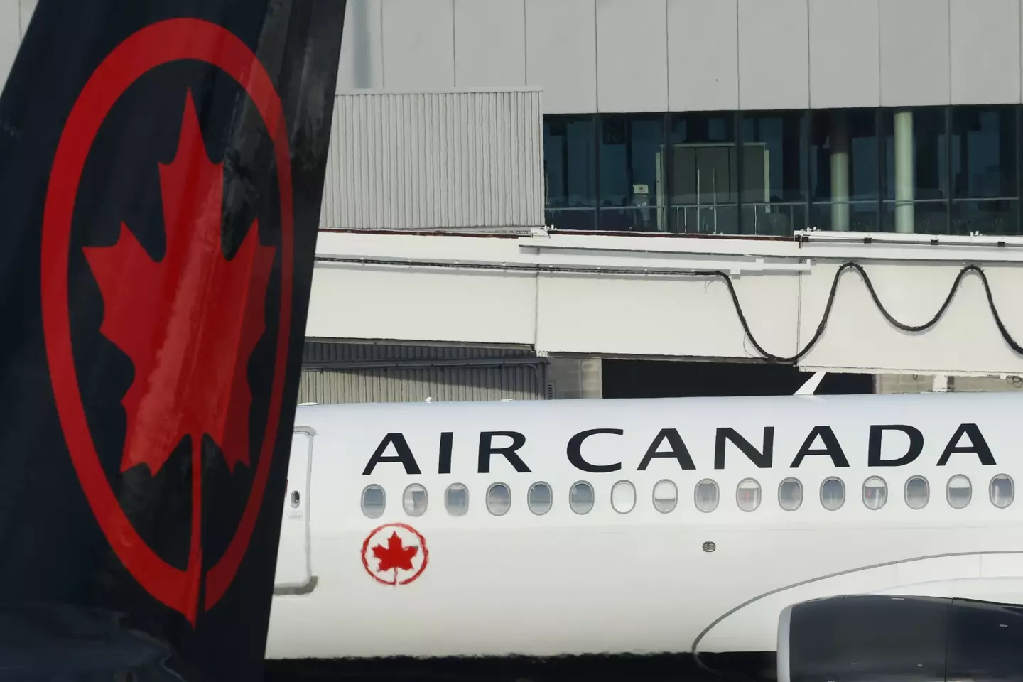 A couple said Air Canada failed to provide a wheelchair for a disabled man, meaning he had to drag himself off their plane.