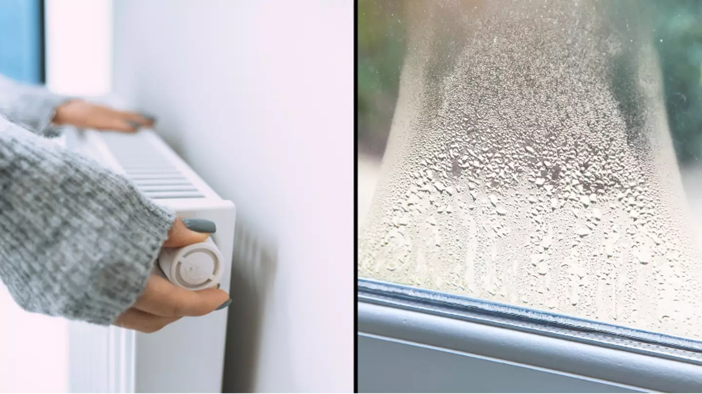 Exact temperature you should heat your home to avoid condensation and mould while staying warm