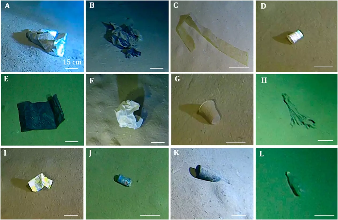 Items found by the sub (Marine Pollution Bulletin)