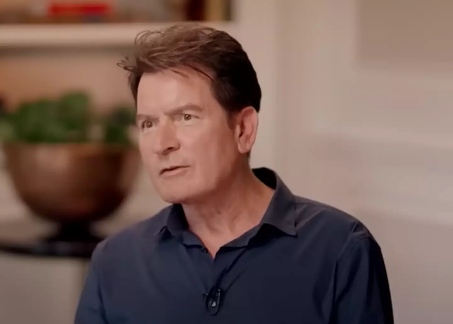 Sheen says he doesn't recognise his former self (ABC)