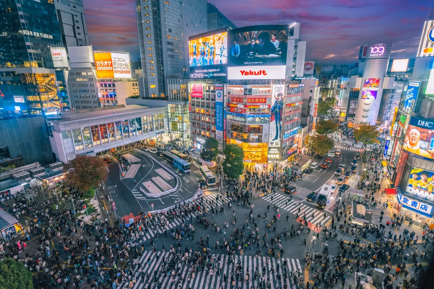 Toky's Shibuya crossing.