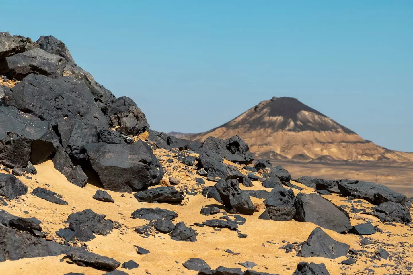 The volcanic fields have changed the desert landscape (Ulrich Hollmann via Getty Images)