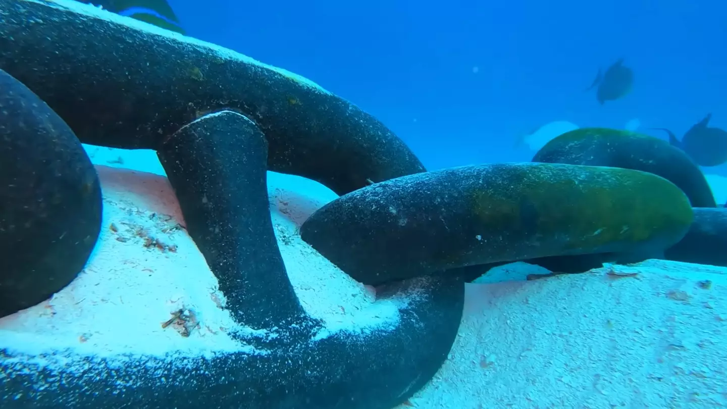 'Terrifying’ true reality shown after man dropped GoPro off cruise ship into ocean