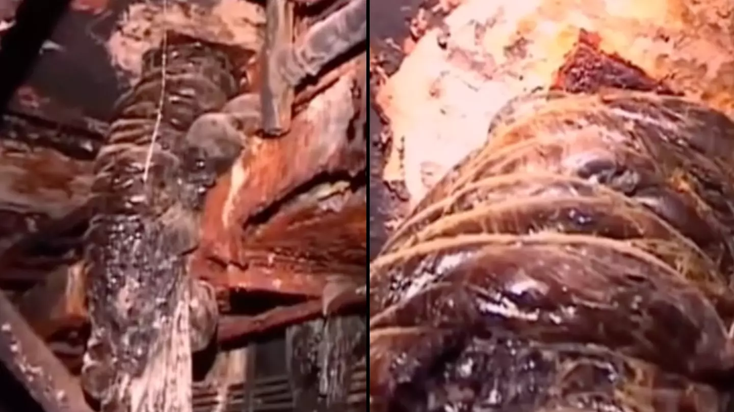 Eerie footage shows most dangerous object on Earth that can kill just by being in a room with it for five minutes