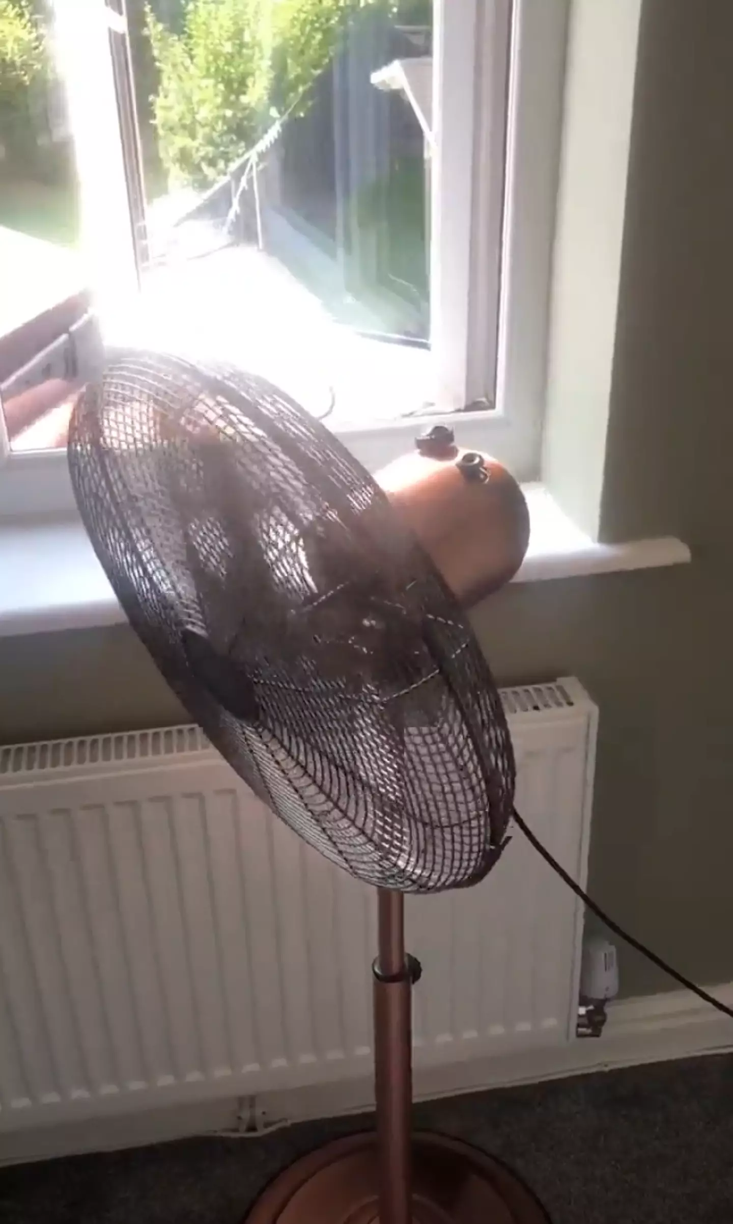 All you need is a fan and a window.