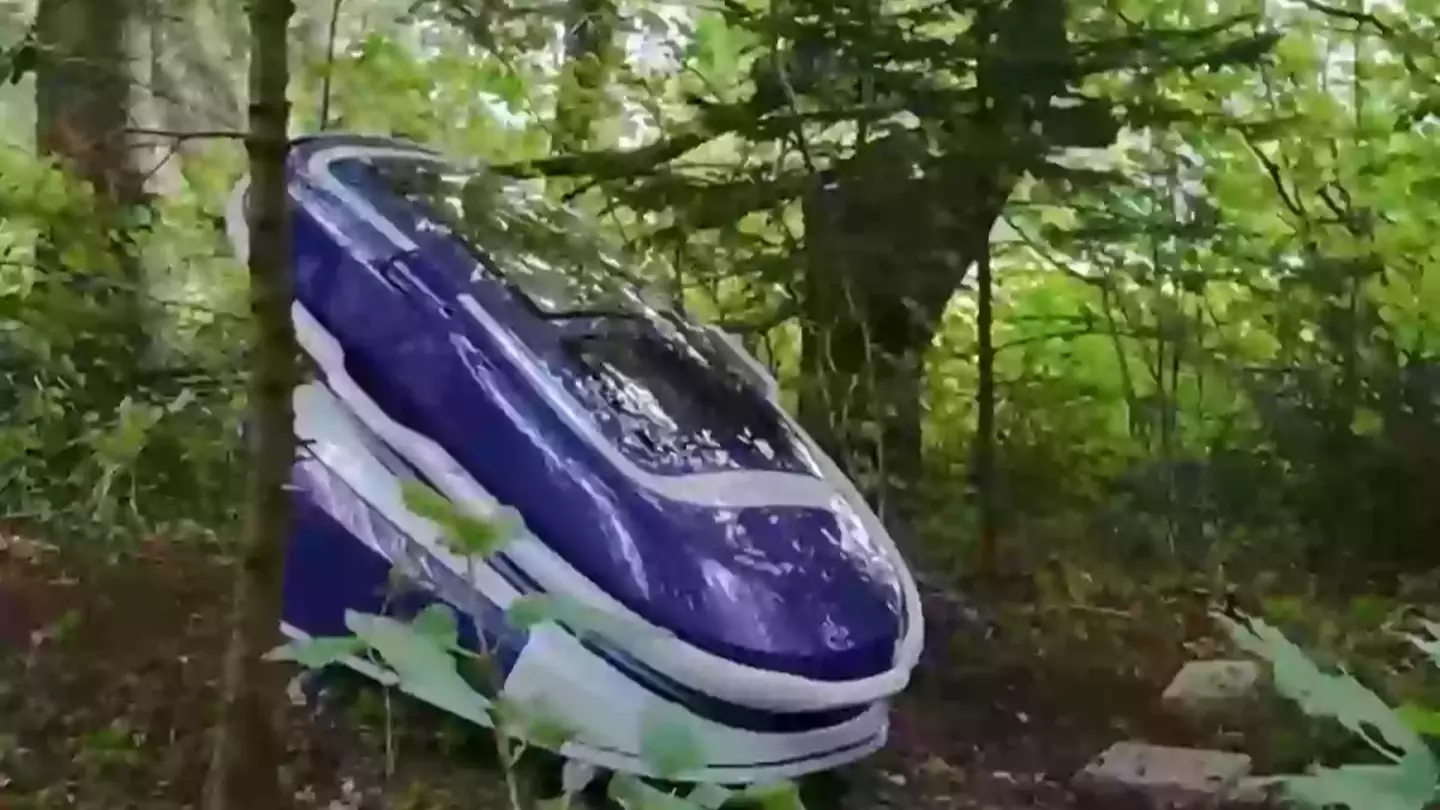 'Suicide pod' creator slammed over latest 'kill switch' invention for dementia patients to schedule their future death