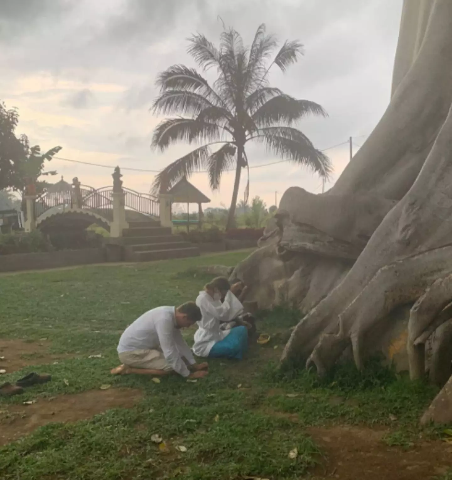 Alina apologises after a video showing her posing naked on an ancient tree considered sacred in Bali.