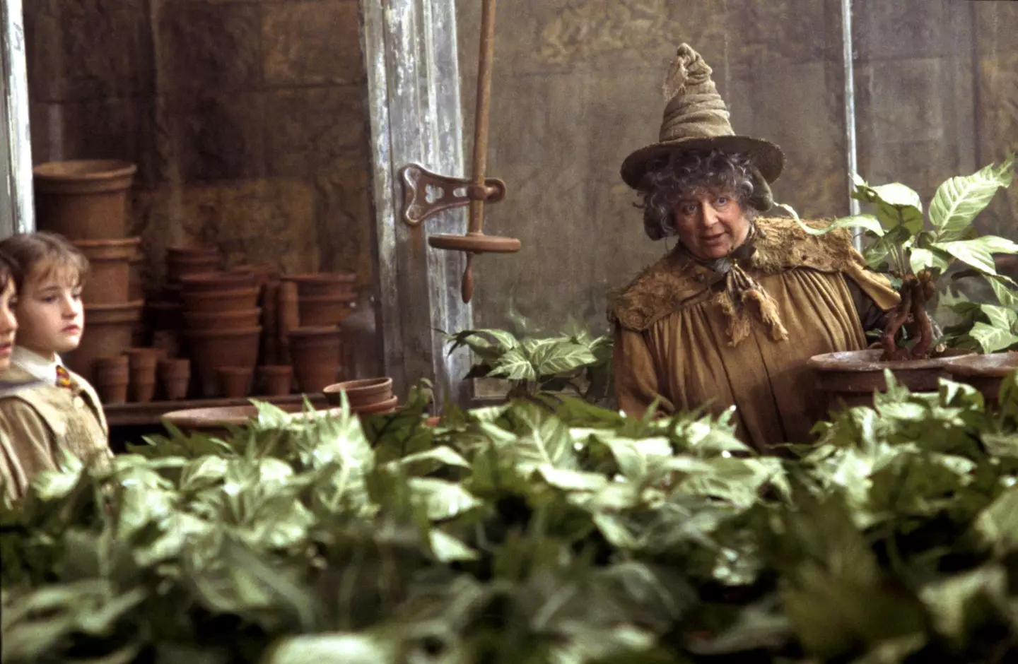 Miriam Margolyes as Professor Sprout.