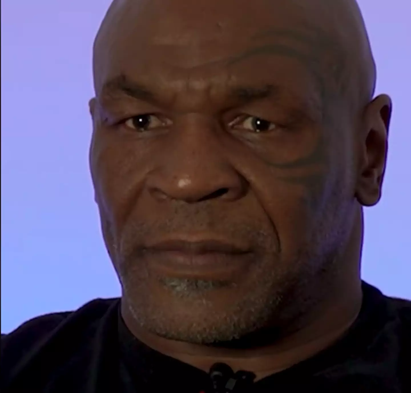 Fans think Tyson is ready to do some real damage (TikTok/@bbcsport)