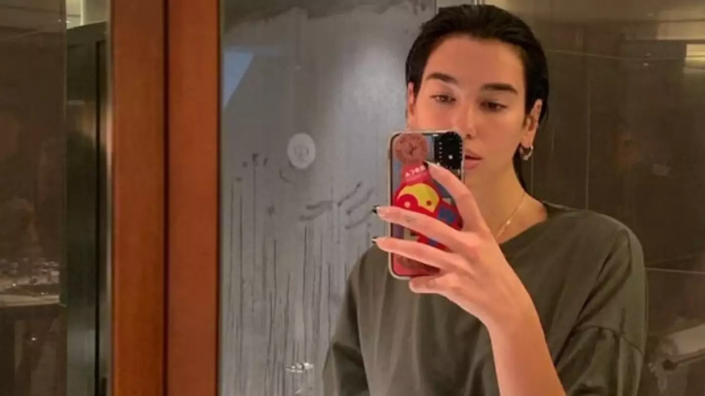 Dua Lipa left fans in shock after showing 'NSFW' detail in background of bathroom selfie