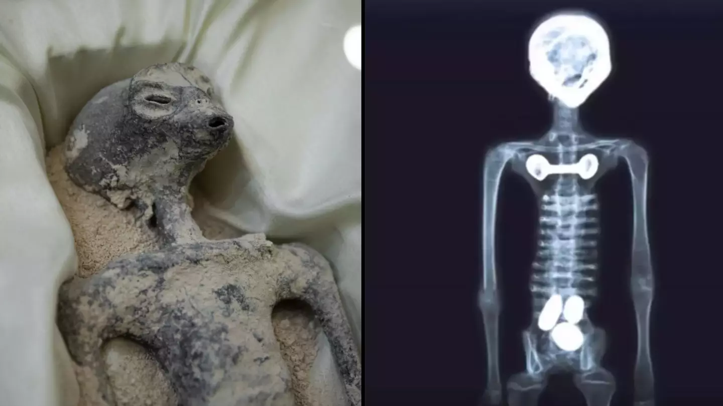 Scans on two ‘alien’ bodies in Mexico suggest that they haven't been assembled or manipulated