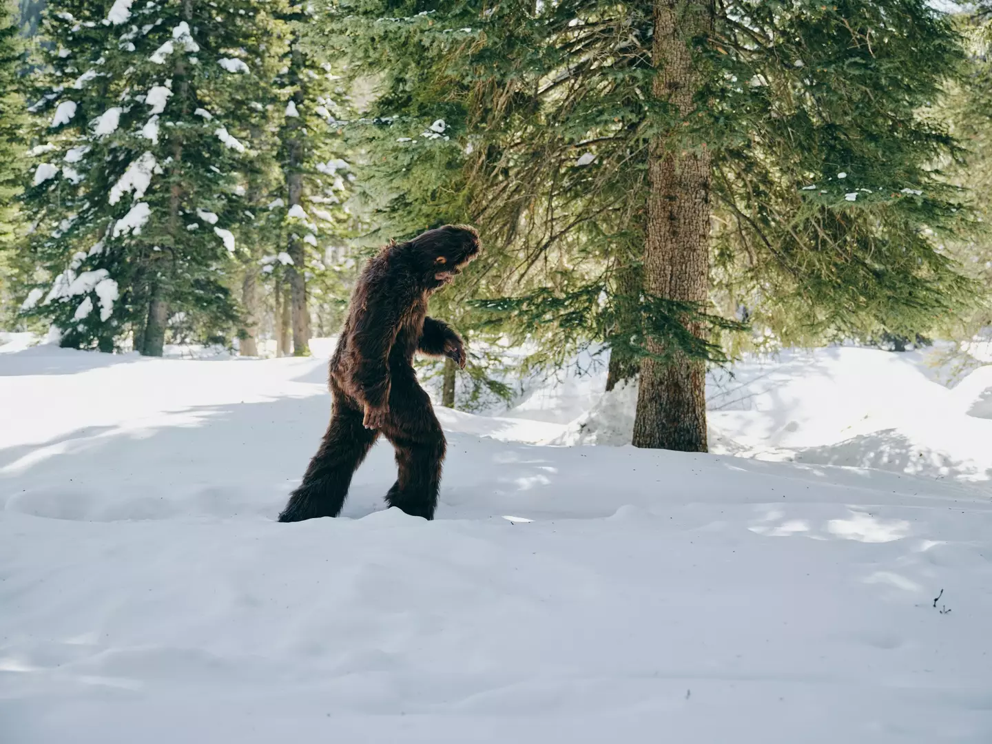 Could Bigfoot have really made it to Mars before us? (Getty Stock Images)