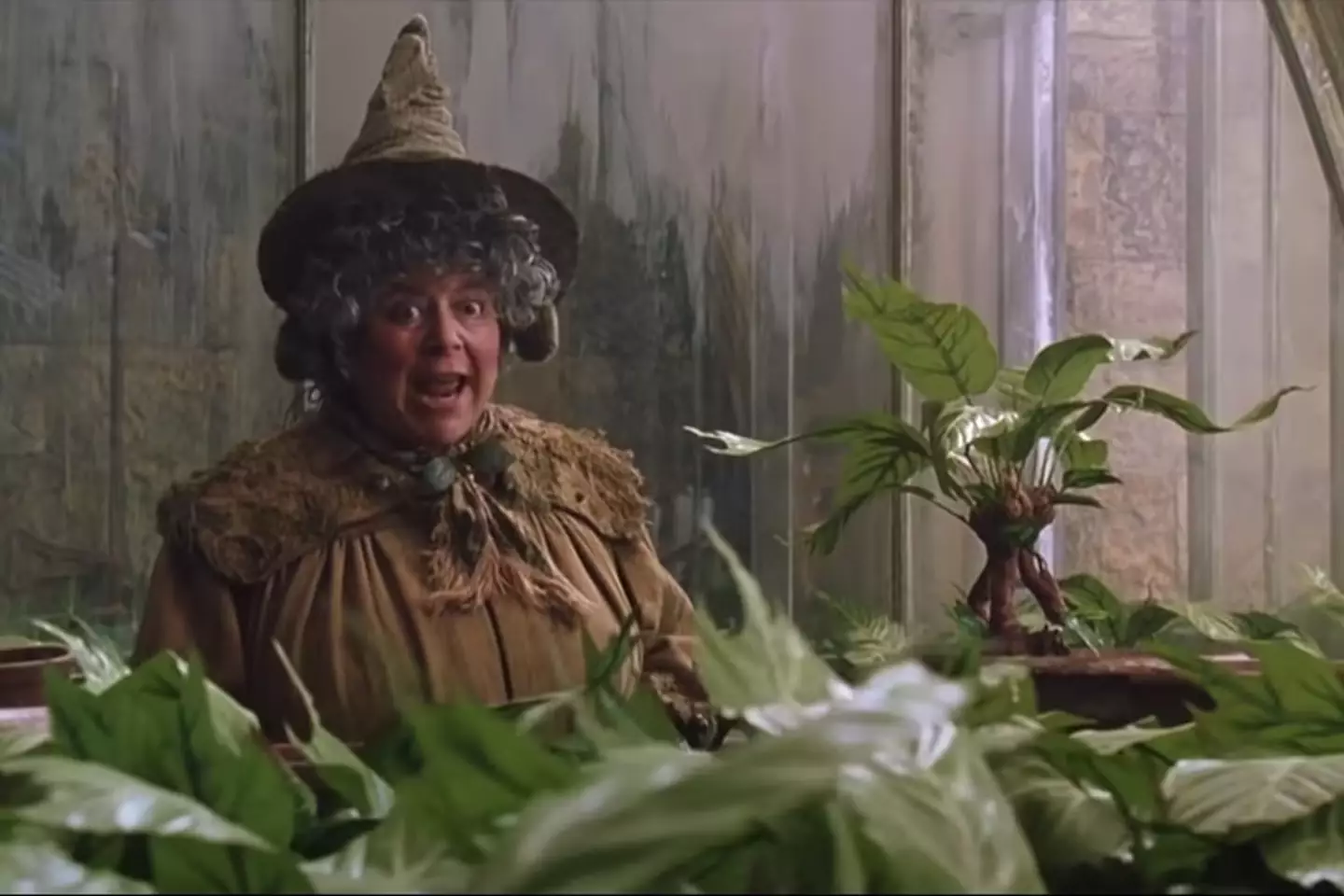 She is best known for her role as Professor Sprout in the Harry Potter films. (Getty Images/Warner Bros.)