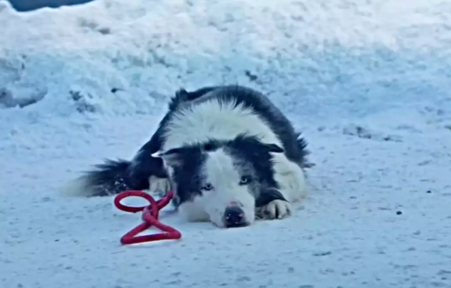 Messi has been getting plenty of praise too.