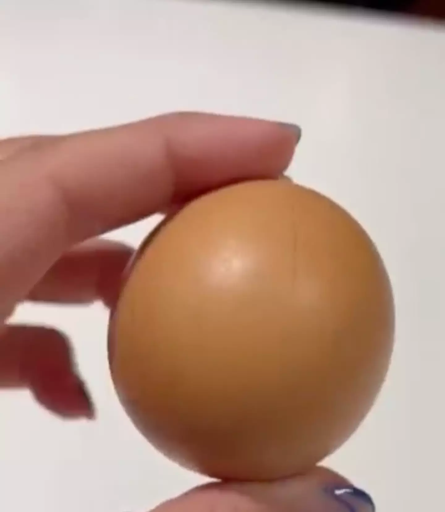 The perfectly round egg.