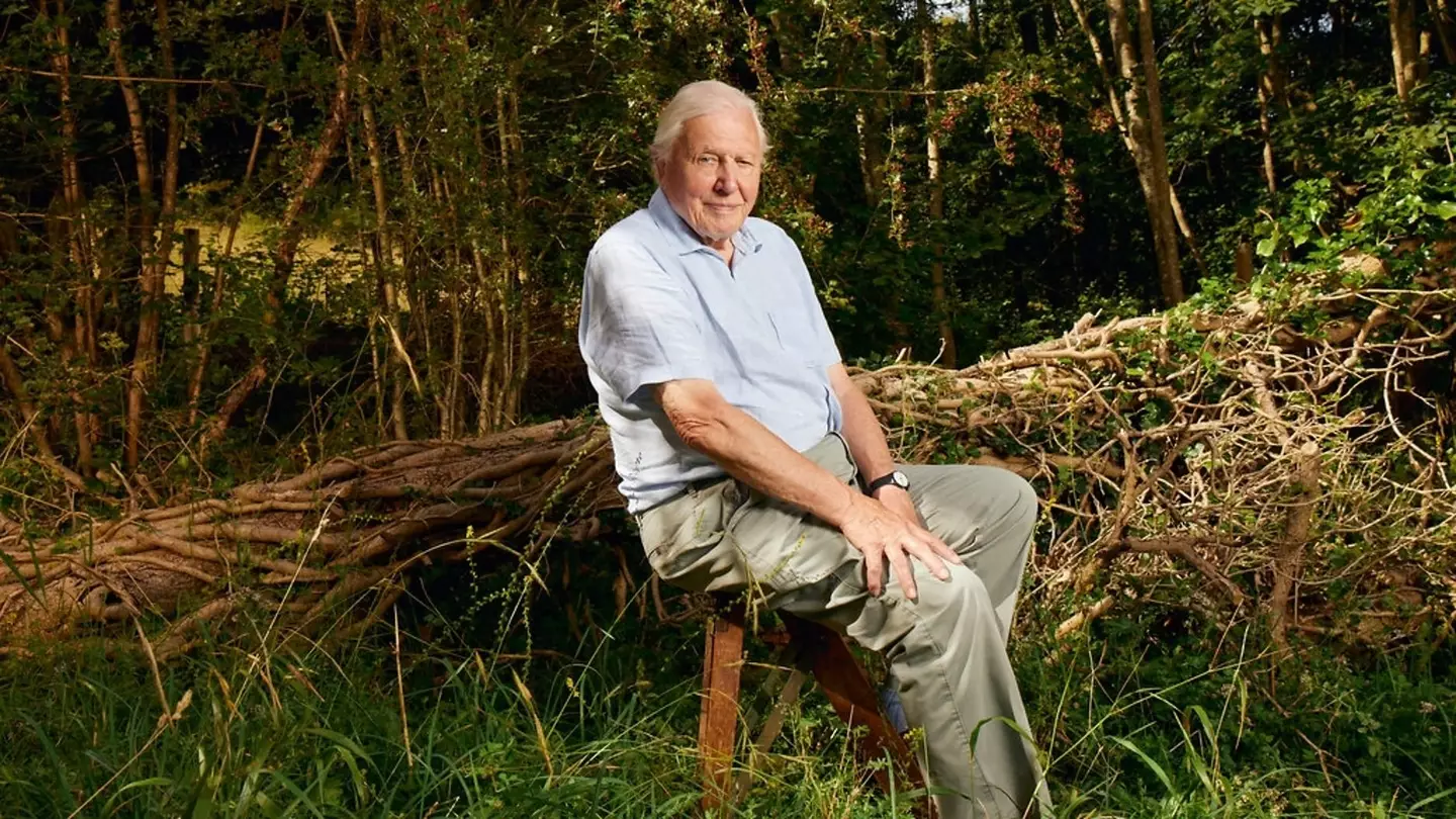 Sir David Attenborough’s BBC crew broke their own rule