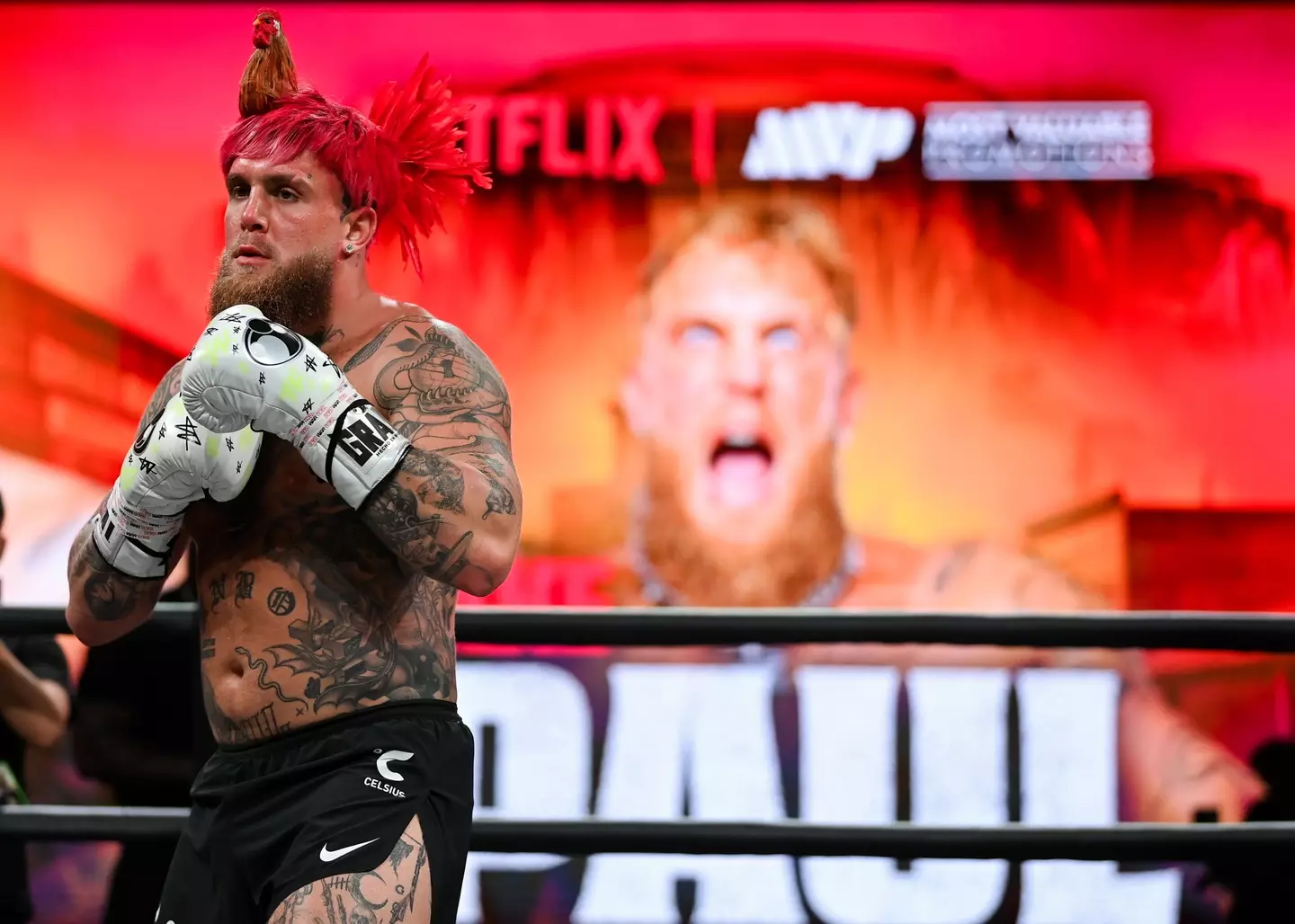They'll wear heavier gloves for the fight. (Stephen McCarthy/Sportsfile via Getty Images)