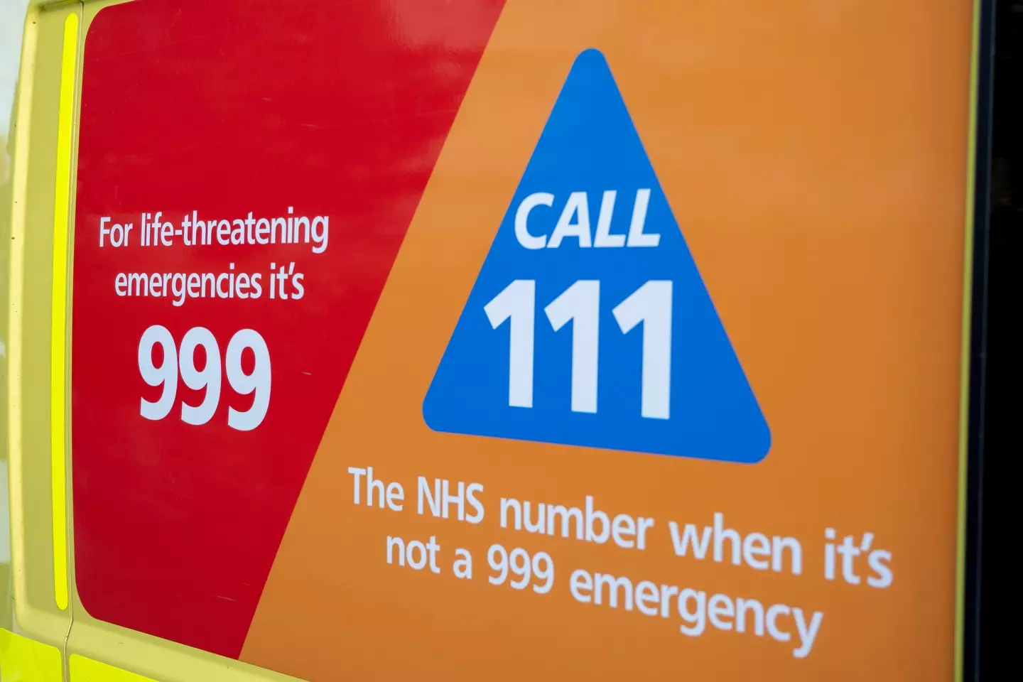 The AI is being trained on data collected by the NHS in England (Mike Kemp/In Pictures via Getty Image)