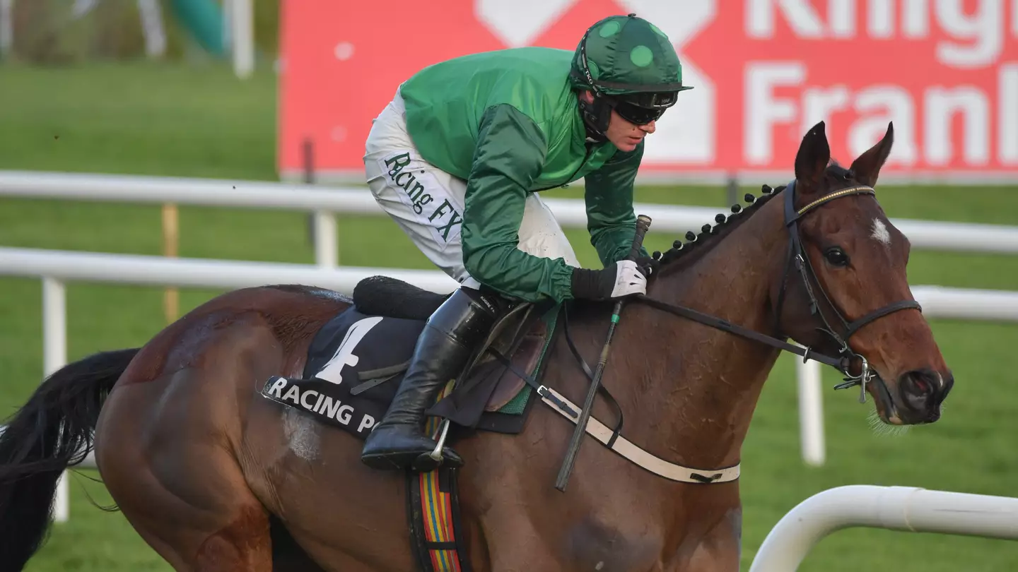 Jockey Jokes About Riding Horse That Shares Name With Famous Porn Star At Cheltenham Next Month