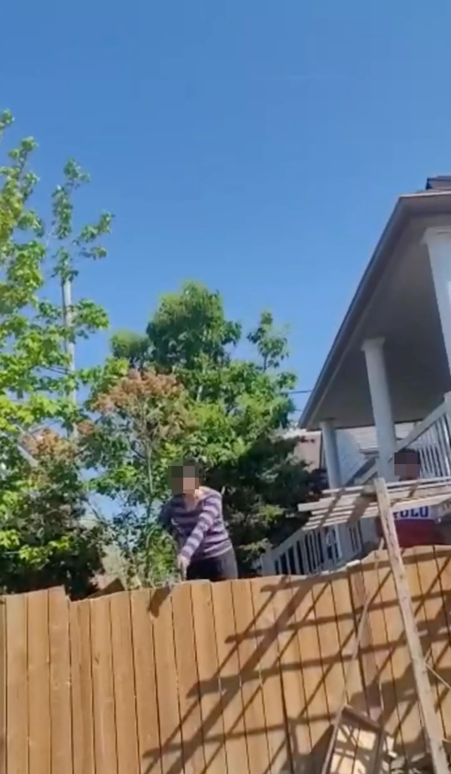 The cameraman was shocked by his nasty neighbours.