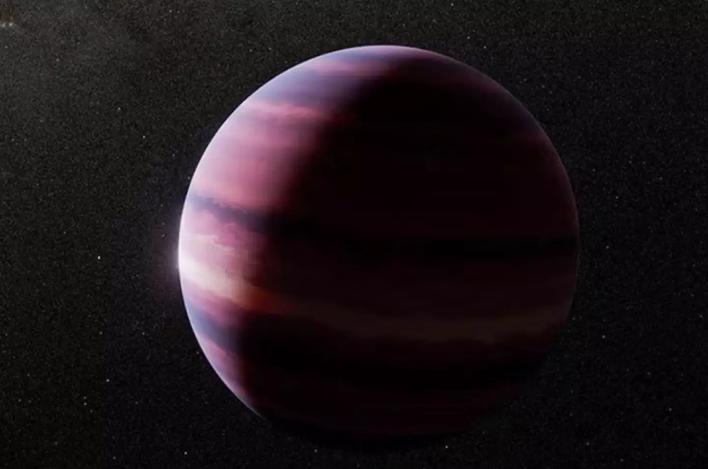 The newly found planet could support life (NASA)