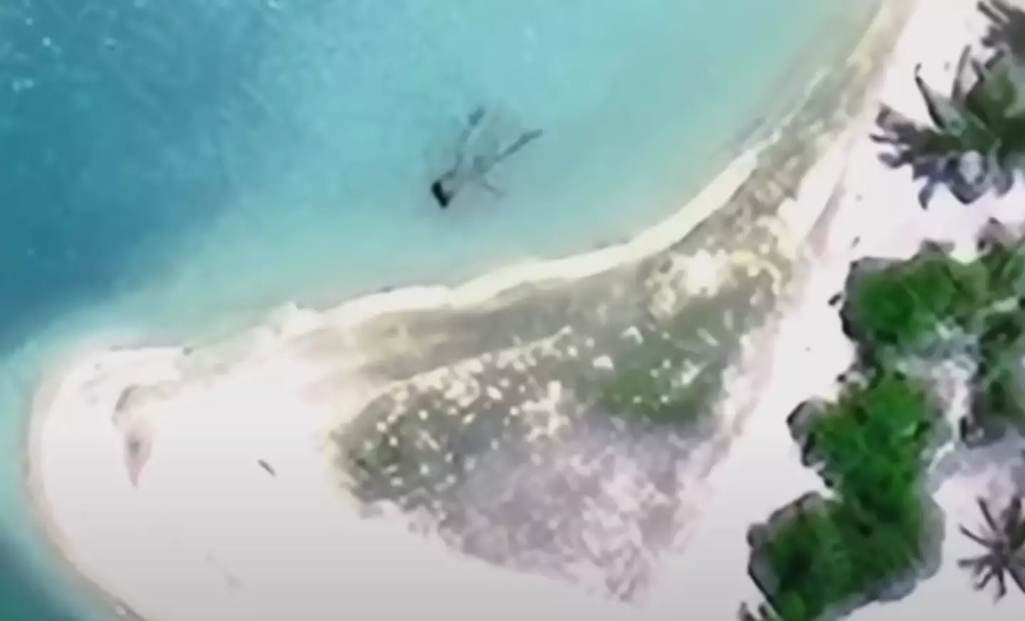 British pilot 'finds location of Amelia Earhart's lost plane' using Google Earth