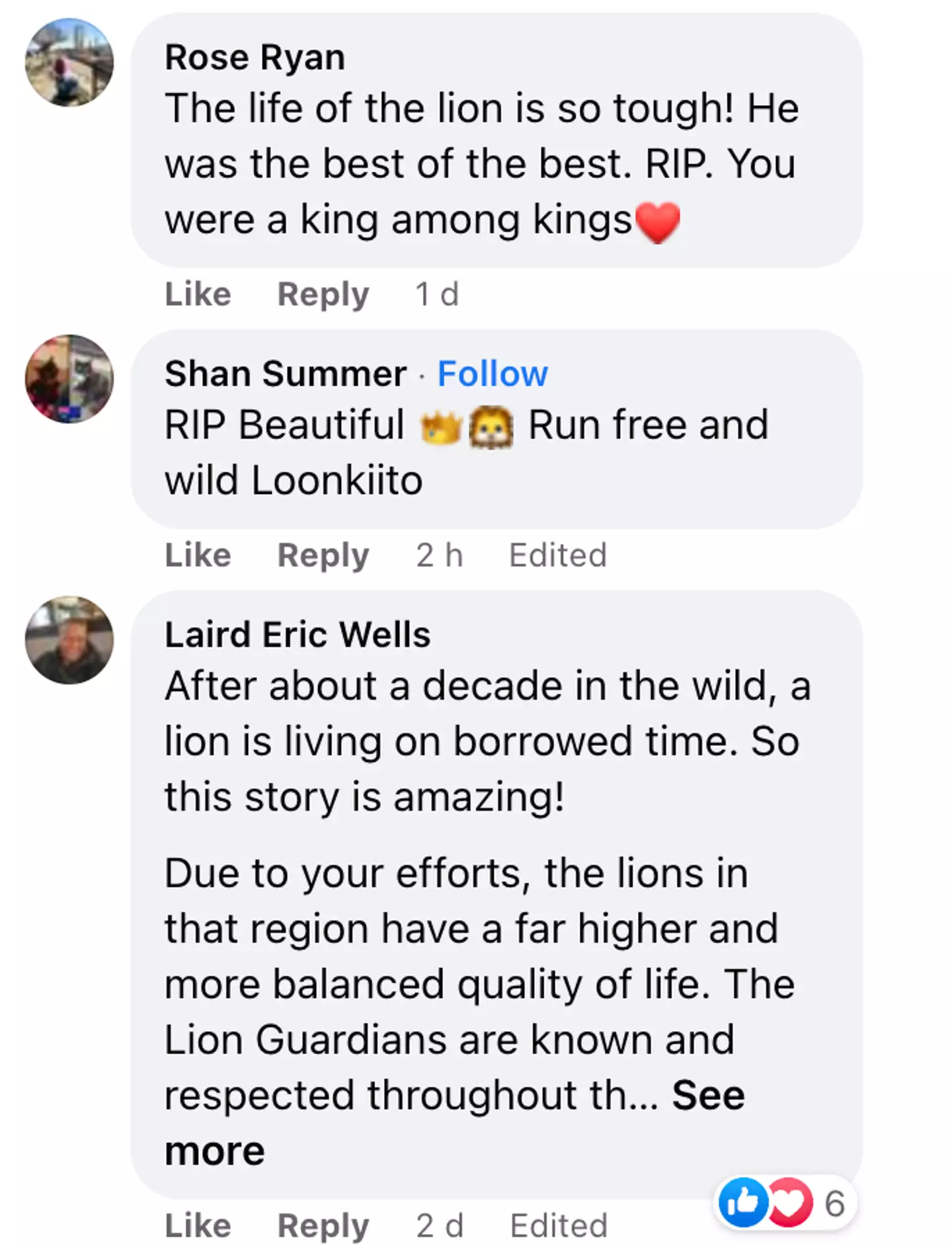 Tributes reigned in for the 19-year-old lion.