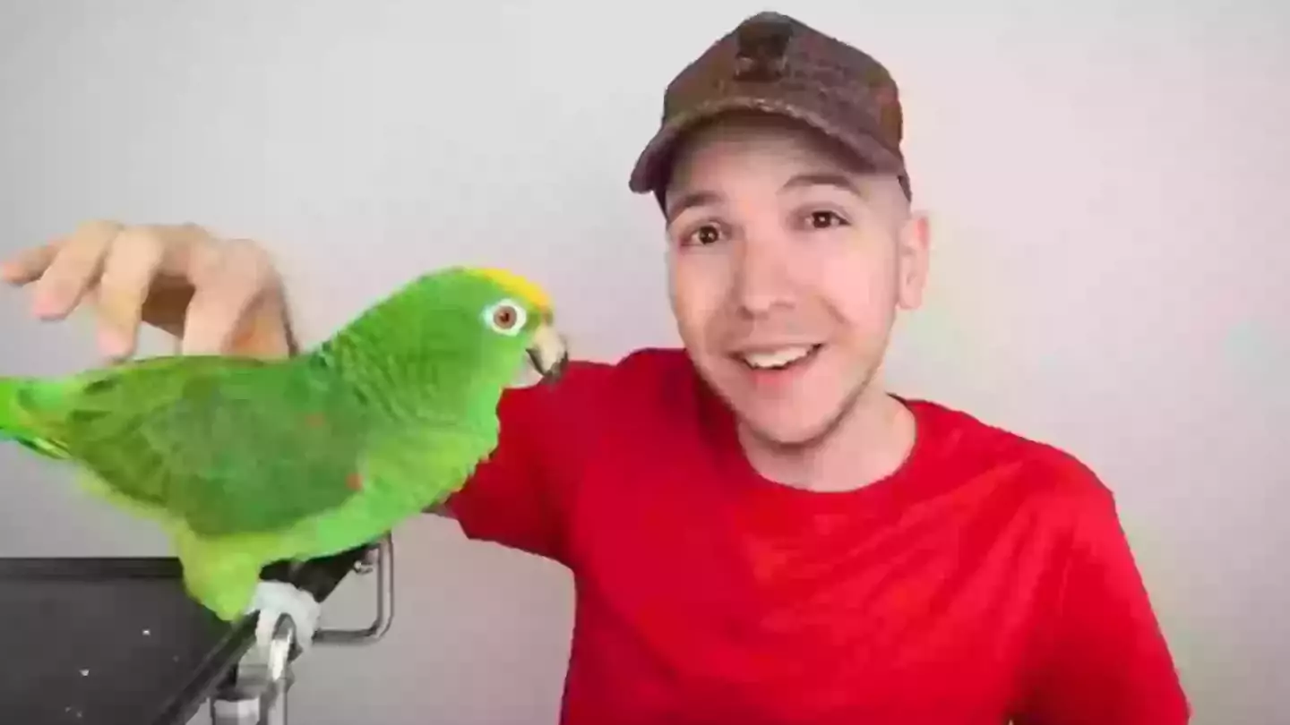 YouTuber Nikocado Avocado shares 'truth' about drastic new look after losing 17 stone in two-year experiment