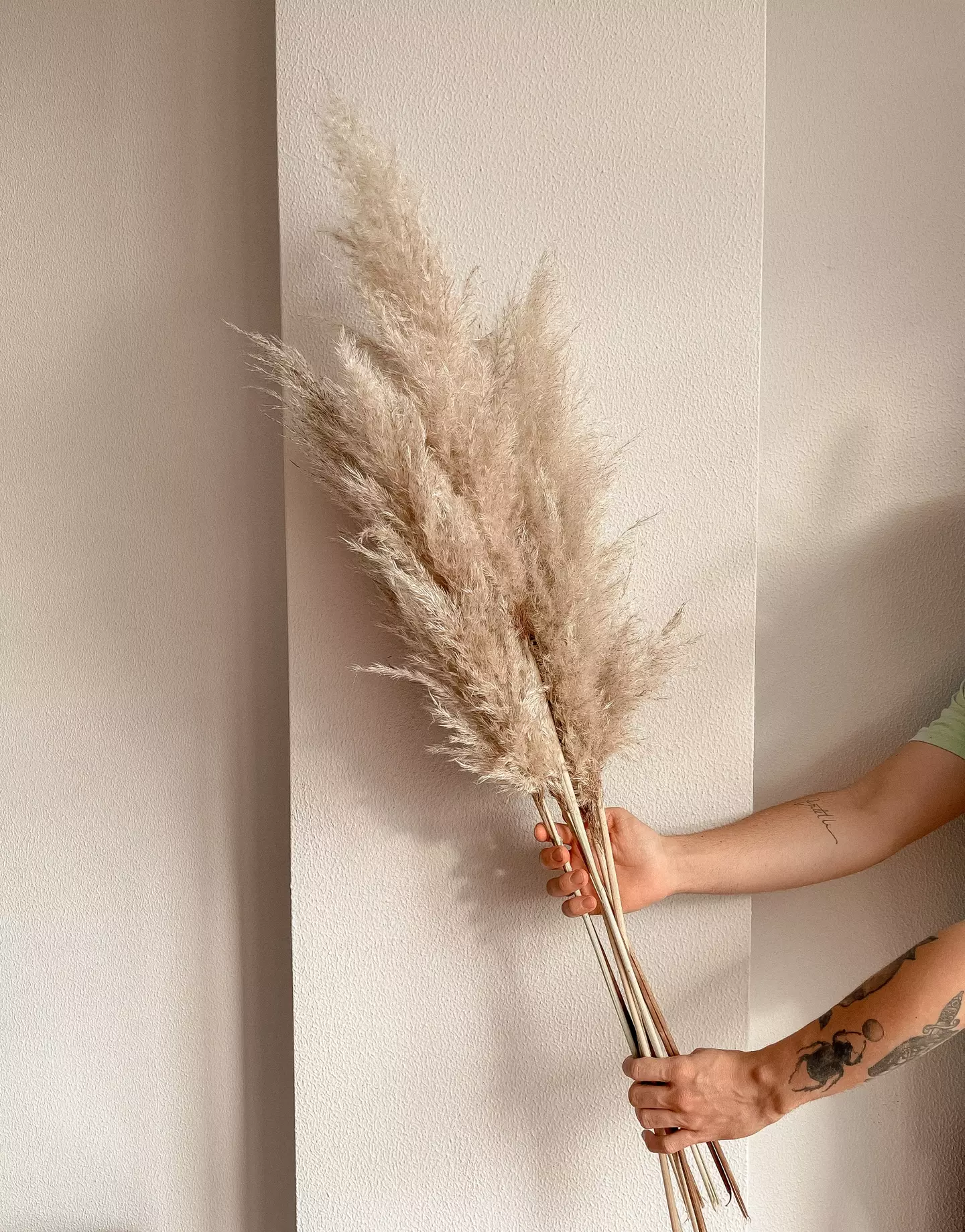 Pampas Grass can also be a sign of being in the swinging community.