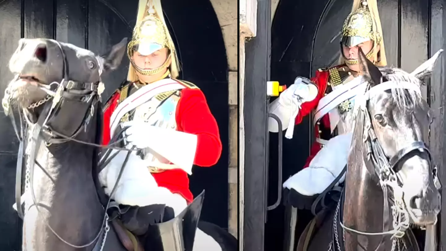 King's Guard forced to hit emergency help button as distressed horse goes out of control
