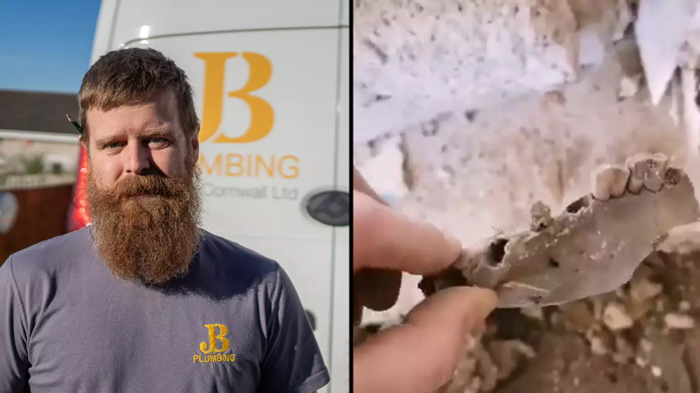 Plumber makes chilling bone discovery under floorboards while digging out bathroom