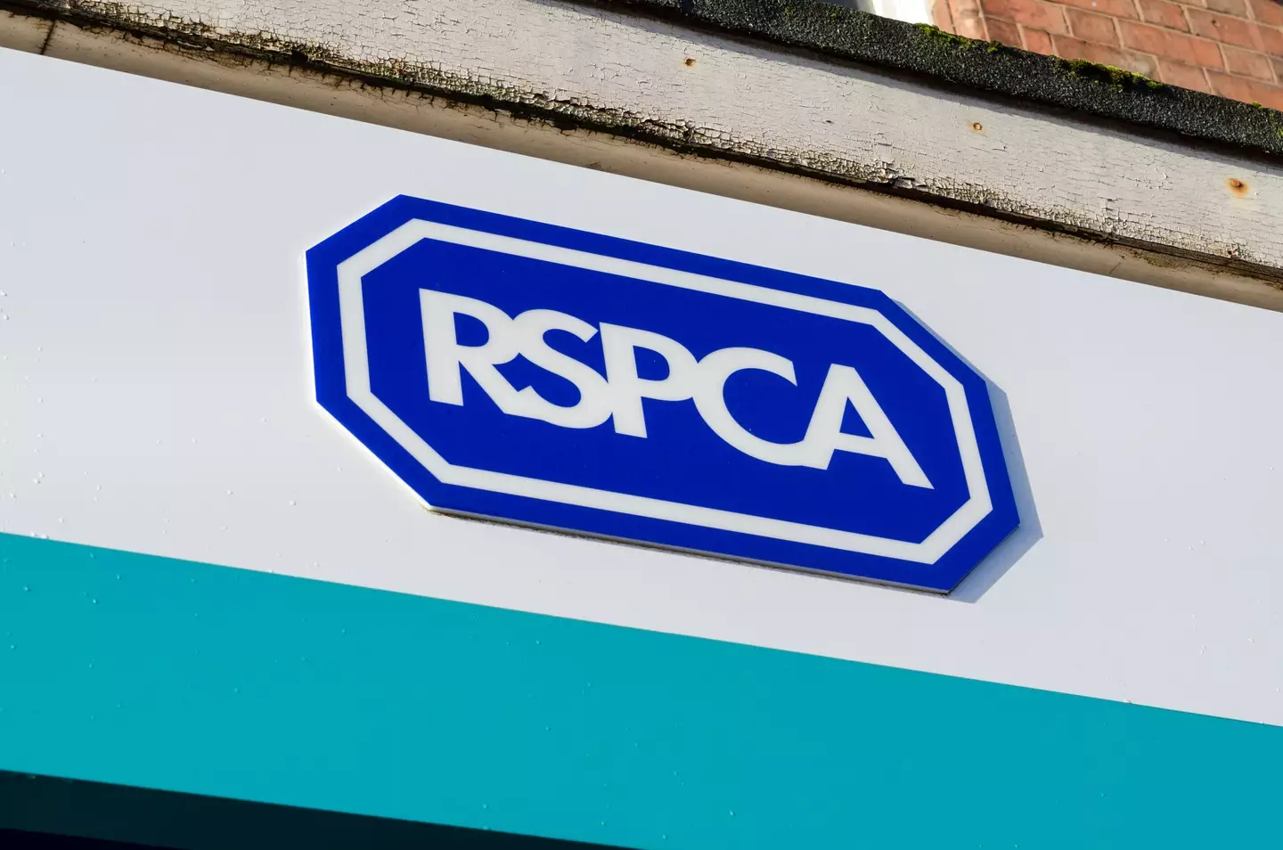 RSPCA sign.