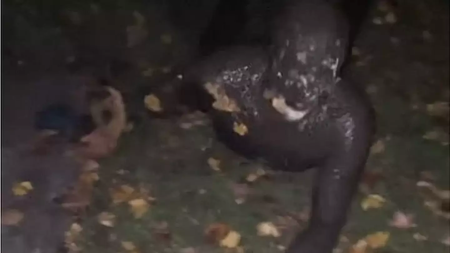 It bears repeating - what is going on here?