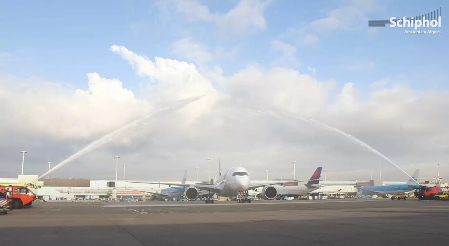 Have you seen it before?