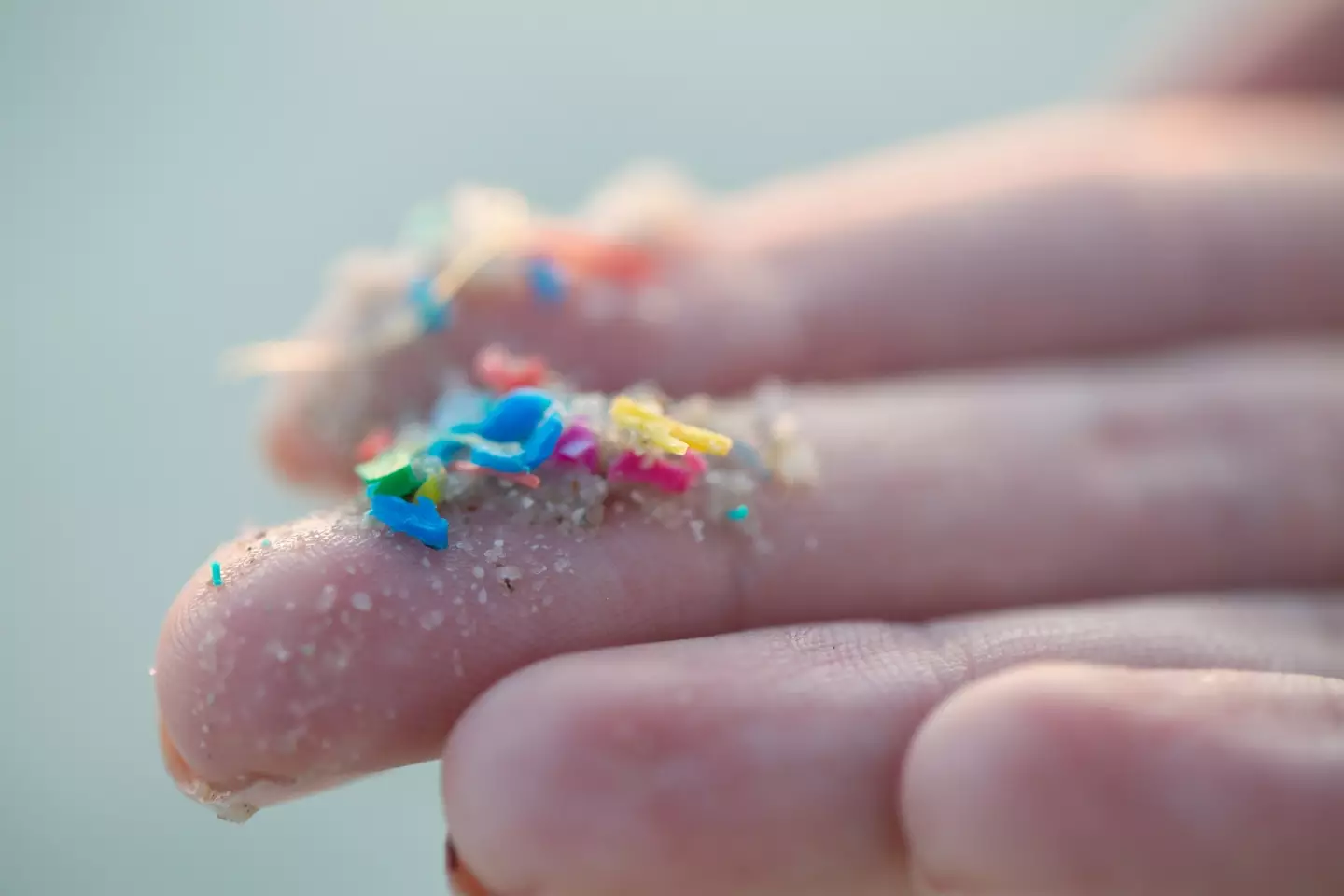 Microplastics are too small to be removed by water treatment plants.