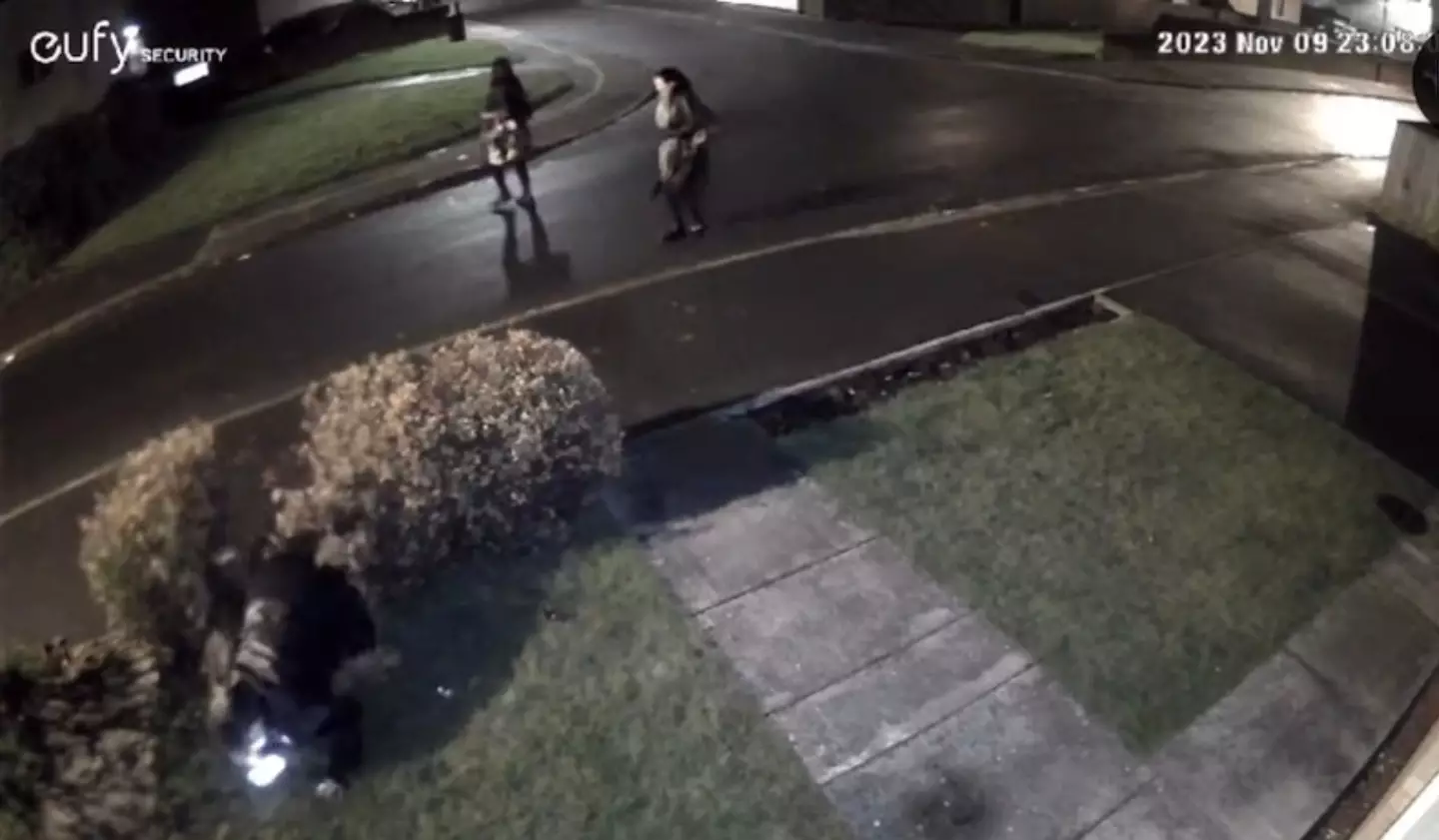 Nicole hilariously crashed straight through the bush while walking home in Newcastle.