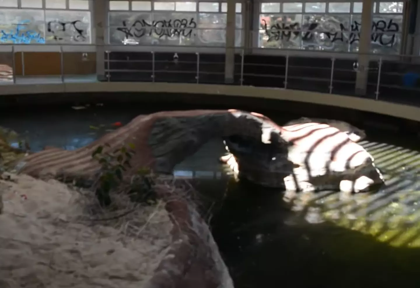 Five years on from shutting down for good the abandoned aquarium is a sorry sight.