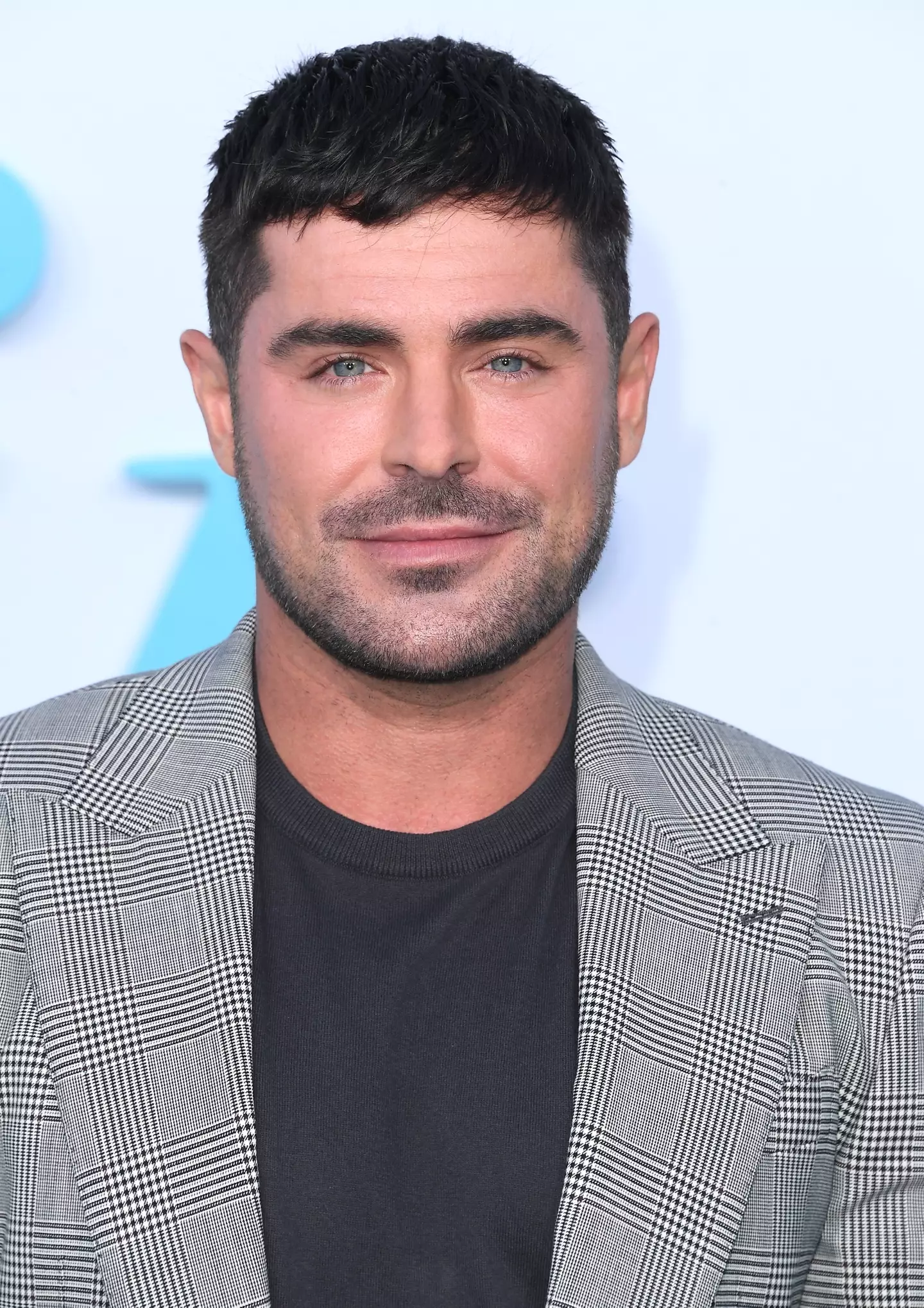 Zac Efron is said to have dived so deeply that he struck the bottom of the pool (Steve Granitz/FilmMagic)