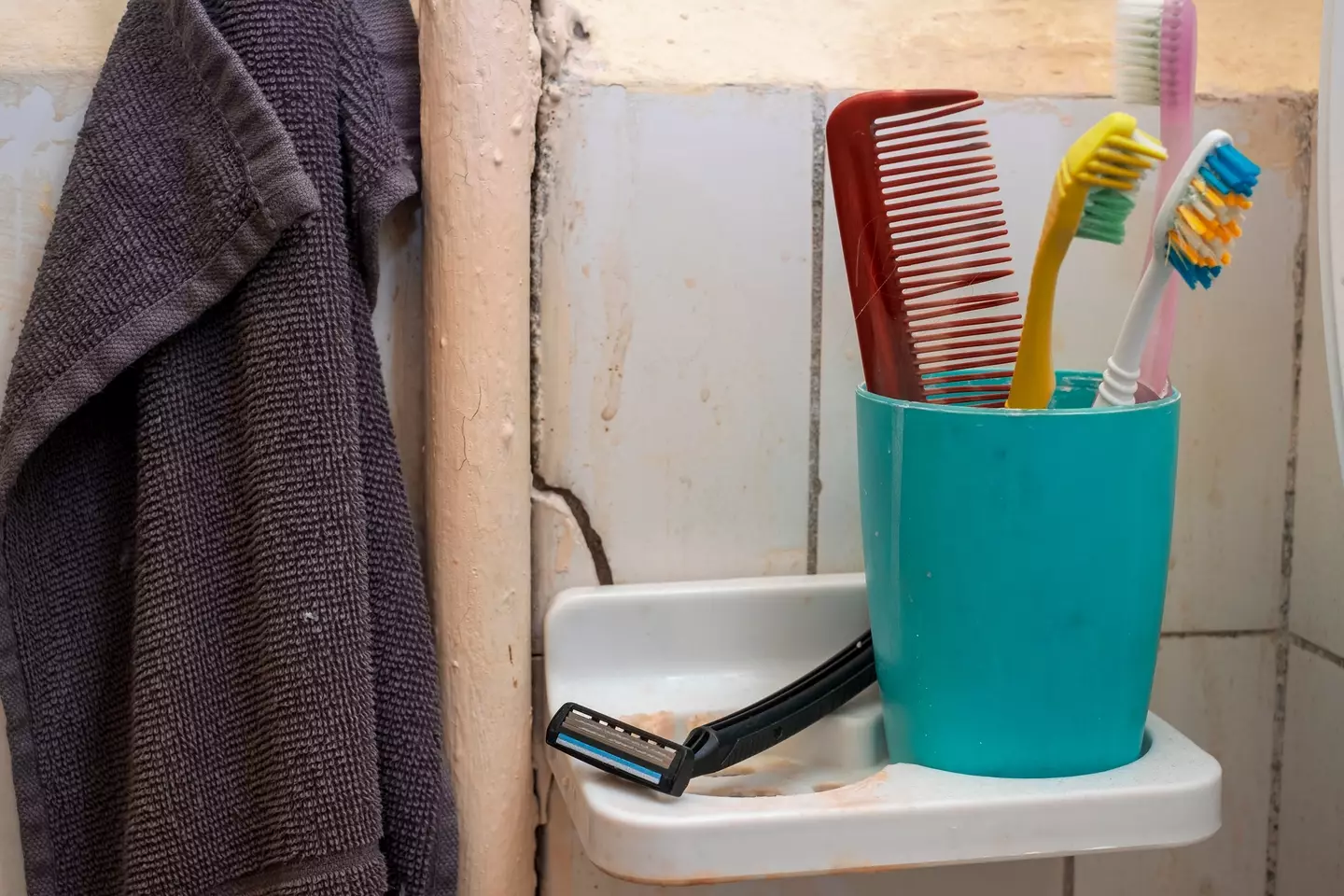 Mouldy toothbrush? No thanks.