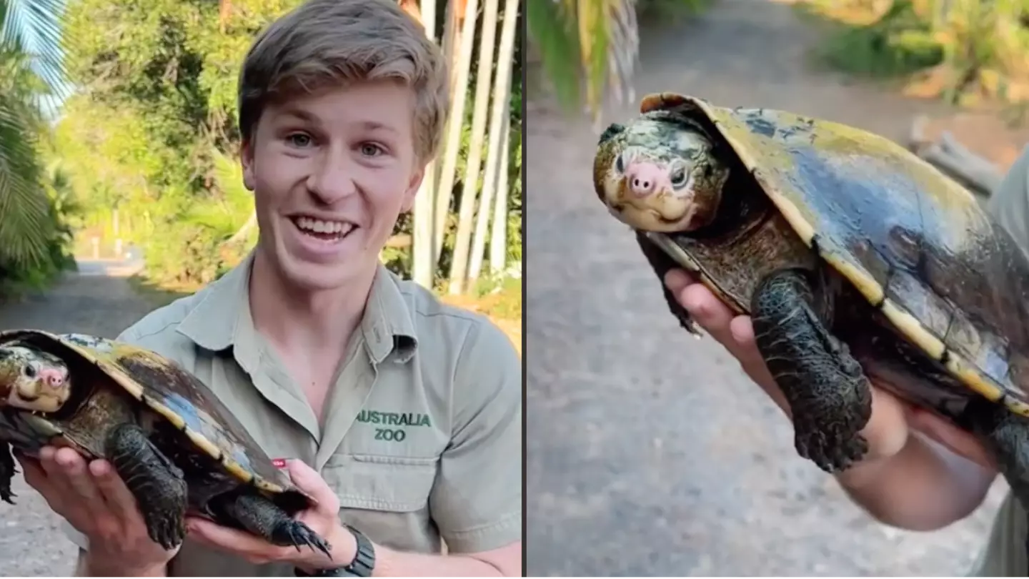 TikTok / robertirwin