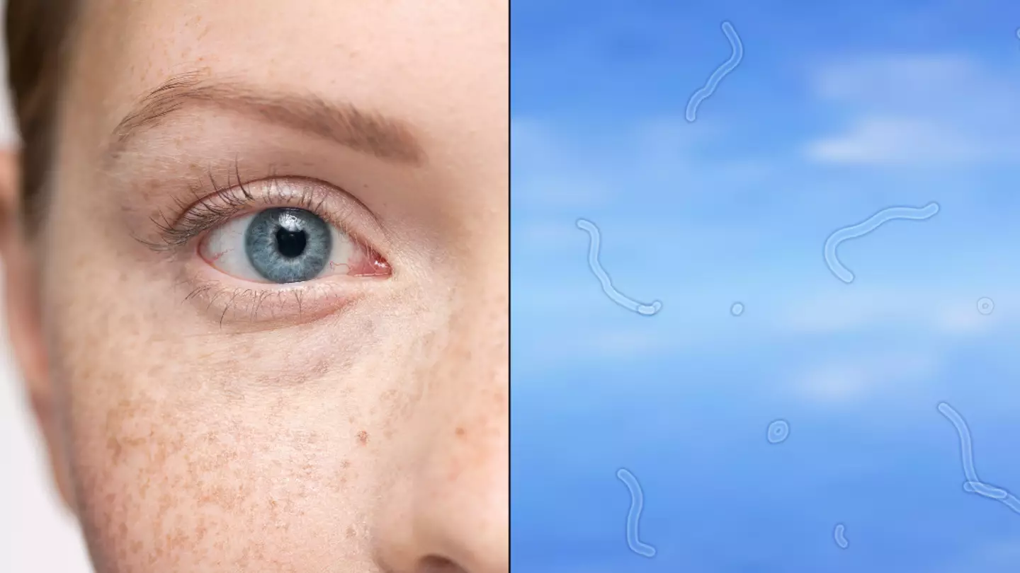 Reason why you get 'floaters' in your eyes as expert explains what you should do if you start seeing them