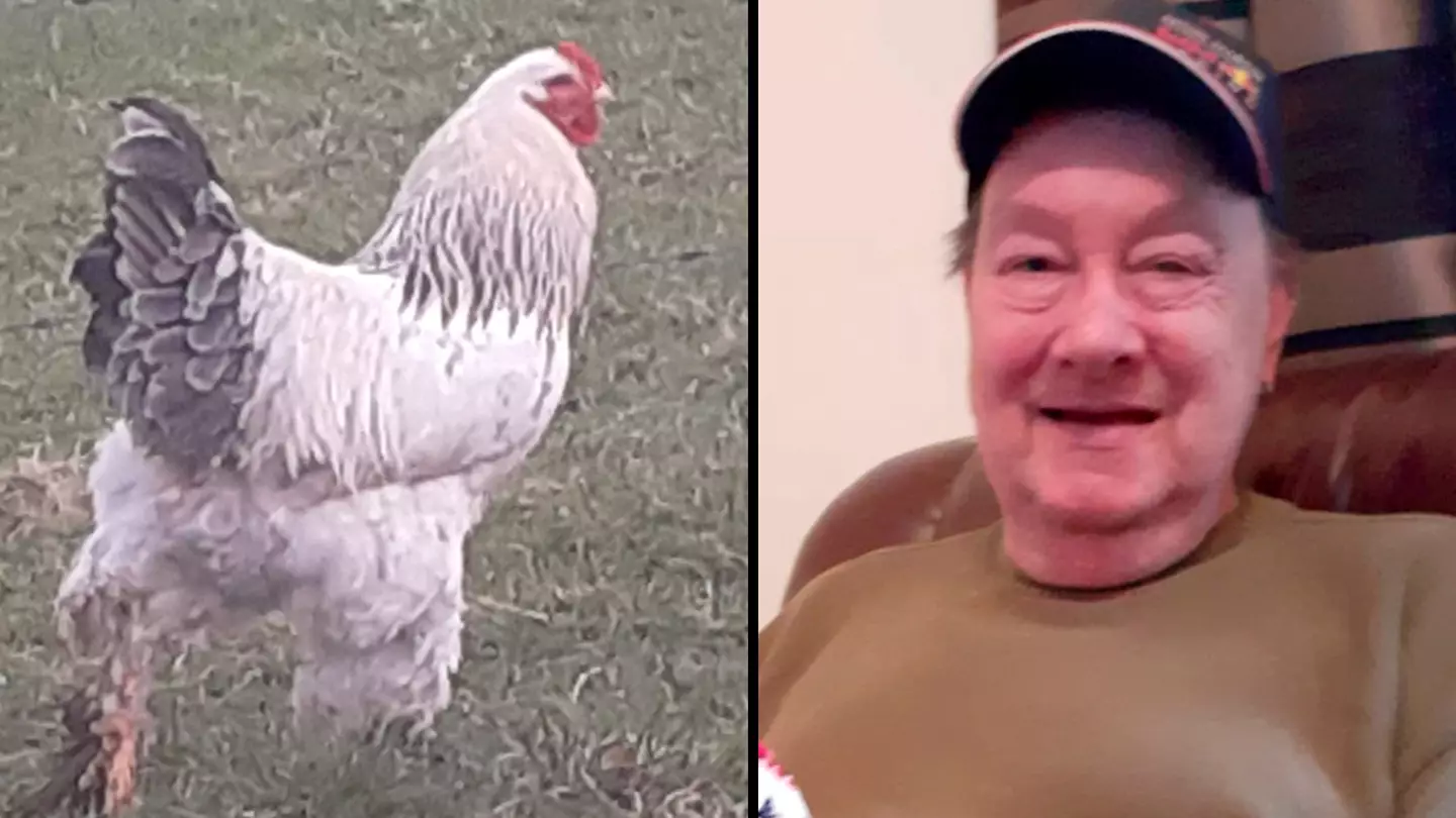 Man dies after ‘brutal’ chicken attack by rooster ‘with violent past’